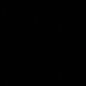 Meet your Posher, Shyla